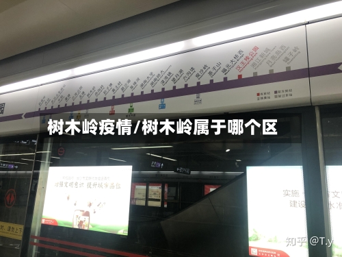 树木岭疫情/树木岭属于哪个区