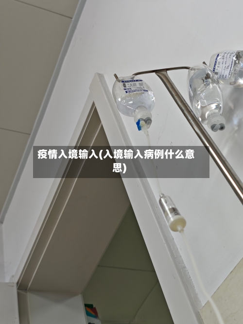 疫情入境输入(入境输入病例什么意思)