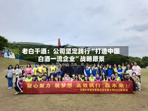 老白干酒：公司坚定践行“打造中国白酒一流企业”战略愿景-第3张图片