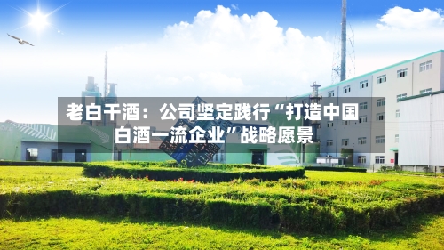 老白干酒：公司坚定践行“打造中国白酒一流企业”战略愿景-第2张图片