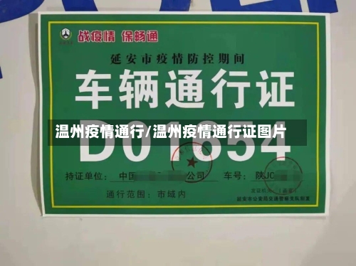 温州疫情通行/温州疫情通行证图片