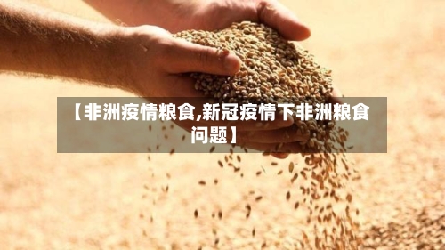 【非洲疫情粮食,新冠疫情下非洲粮食问题】-第2张图片