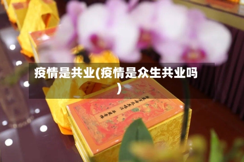 疫情是共业(疫情是众生共业吗)-第3张图片