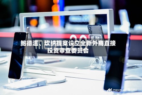 鲍德温、坎纳提案设立全新外商直接投资审查委员会-第2张图片