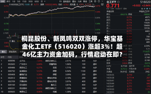 桐昆股份、新凤鸣双双涨停，华宝基金化工ETF（516020）涨超3%！超46亿主力资金加码，行情启动在即？-第2张图片