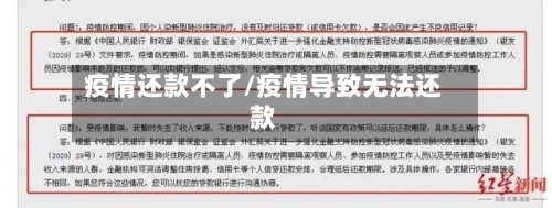 疫情还款不了/疫情导致无法还款