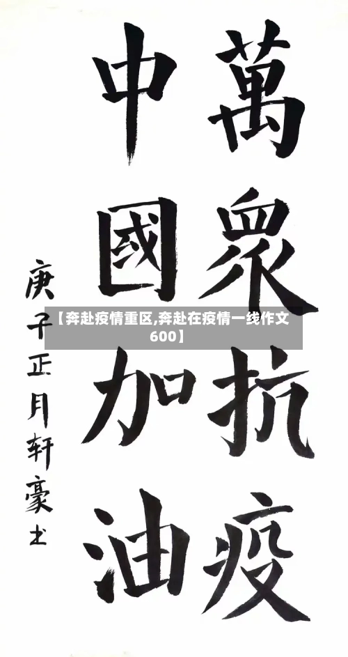 【奔赴疫情重区,奔赴在疫情一线作文600】