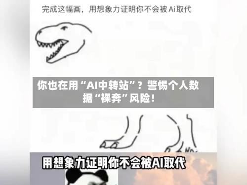你也在用“AI中转站”？警惕个人数据“裸奔	”风险！-第3张图片