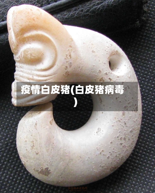 疫情白皮猪(白皮猪病毒)