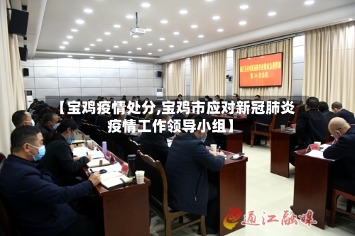 【宝鸡疫情处分,宝鸡市应对新冠肺炎疫情工作领导小组】-第2张图片