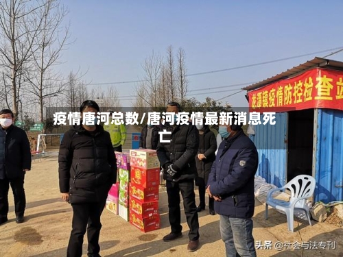 疫情唐河总数/唐河疫情最新消息死亡-第2张图片