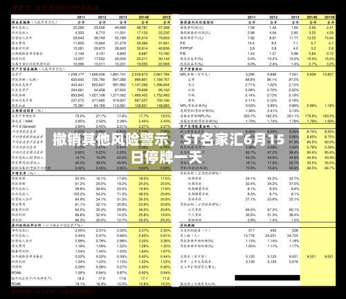 撤销其他风险警示，ST名家汇6月15日停牌一天-第2张图片