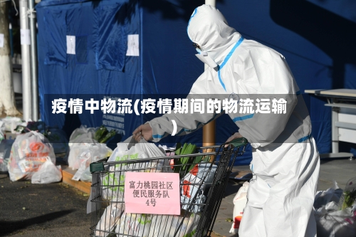 疫情中物流(疫情期间的物流运输)-第2张图片