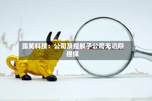 露笑科技：公司及控股子公司无逾期担保-第3张图片