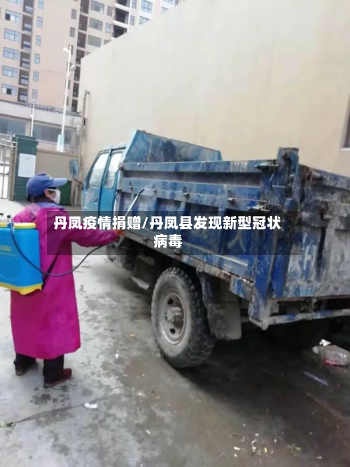 丹凤疫情捐赠/丹凤县发现新型冠状病毒