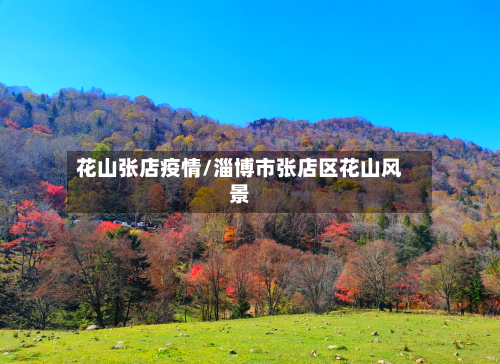 花山张店疫情/淄博市张店区花山风景