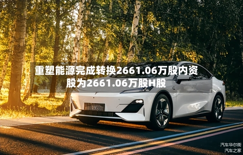 重塑能源完成转换2661.06万股内资股为2661.06万股H股-第2张图片