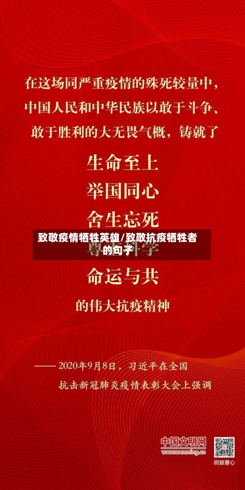 致敬疫情牺牲英雄/致敬抗疫牺牲者的句子-第2张图片