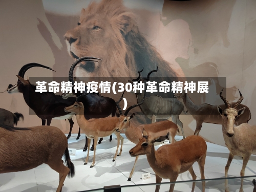 革命精神疫情(30种革命精神展)