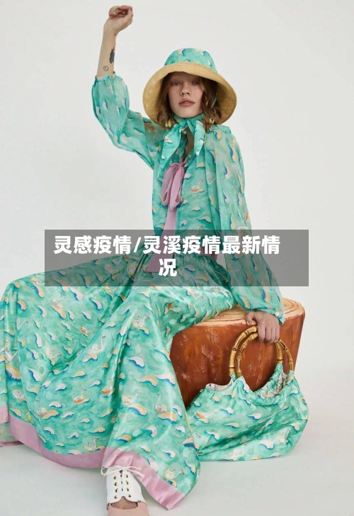 灵感疫情/灵溪疫情最新情况-第2张图片