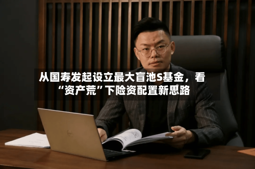 从国寿发起设立最大盲池S基金，看“资产荒”下险资配置新思路-第2张图片