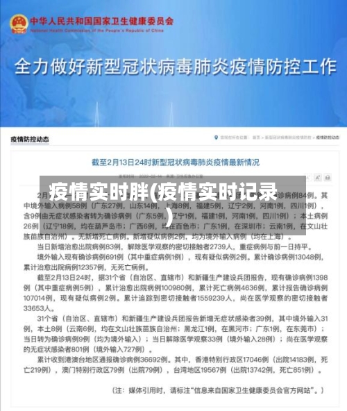 疫情实时胖(疫情实时记录)-第2张图片