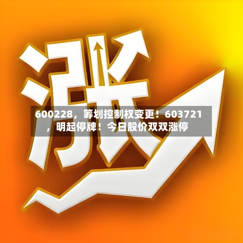 600228	，筹划控制权变更！603721，明起停牌！今日股价双双涨停-第2张图片