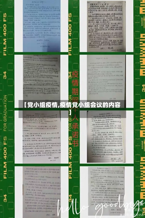 【党小组疫情,疫情党小组会议的内容】