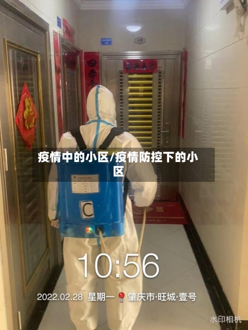 疫情中的小区/疫情防控下的小区