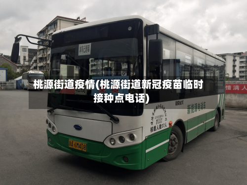 桃源街道疫情(桃源街道新冠疫苗临时接种点电话)