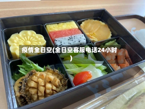 疫情全日空(全日空客服电话24小时)