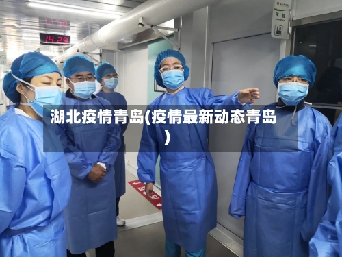 湖北疫情青岛(疫情最新动态青岛)