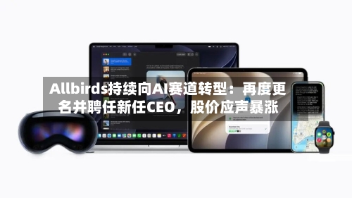 Allbirds持续向AI赛道转型：再度更名并聘任新任CEO	，股价应声暴涨-第2张图片