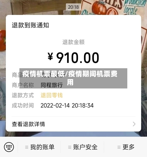 疫情机票最低/疫情期间机票费用-第2张图片