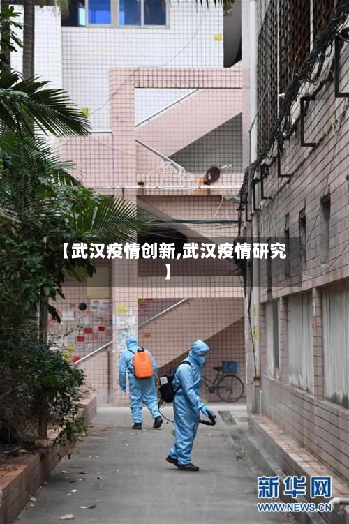 【武汉疫情创新,武汉疫情研究】
