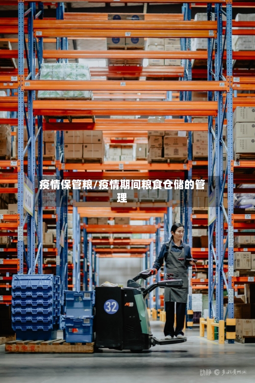 疫情保管粮/疫情期间粮食仓储的管理-第2张图片