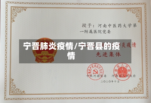 宁晋肺炎疫情/宁晋县的疫情
