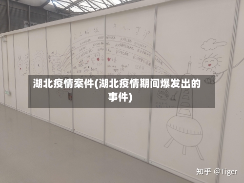 湖北疫情案件(湖北疫情期间爆发出的事件)