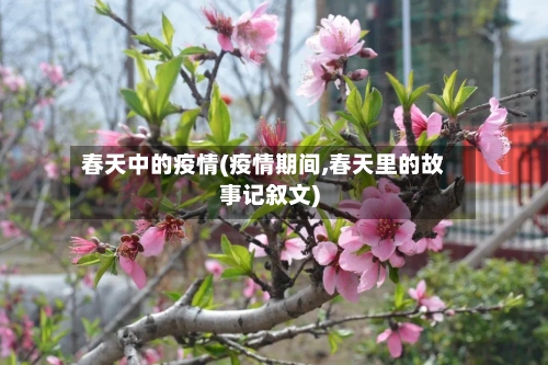 春天中的疫情(疫情期间,春天里的故事记叙文)