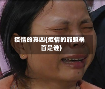 疫情的真凶(疫情的罪魁祸首是谁)-第2张图片