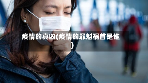 疫情的真凶(疫情的罪魁祸首是谁)-第3张图片