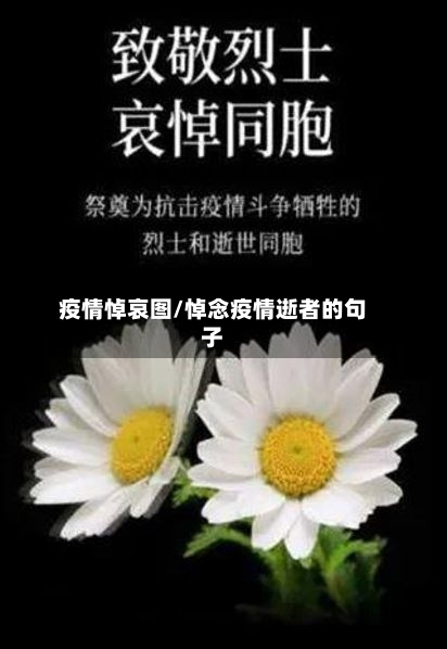 疫情悼哀图/悼念疫情逝者的句子