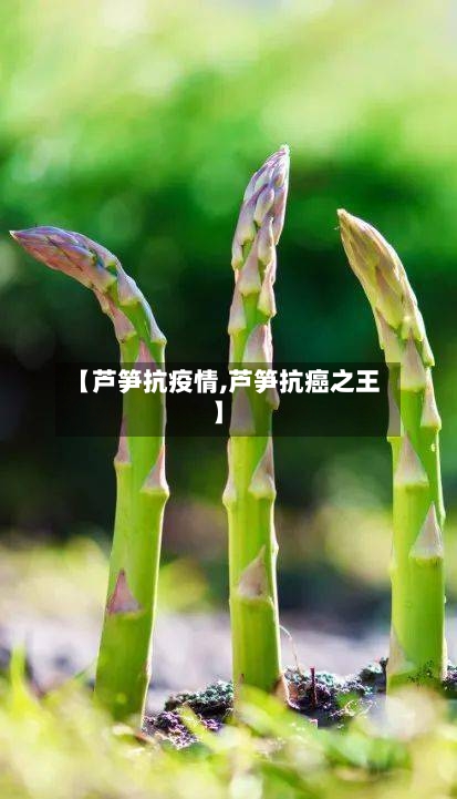 【芦笋抗疫情,芦笋抗癌之王】-第2张图片