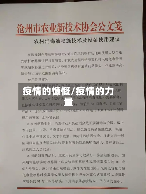 疫情的慷慨/疫情的力量-第3张图片