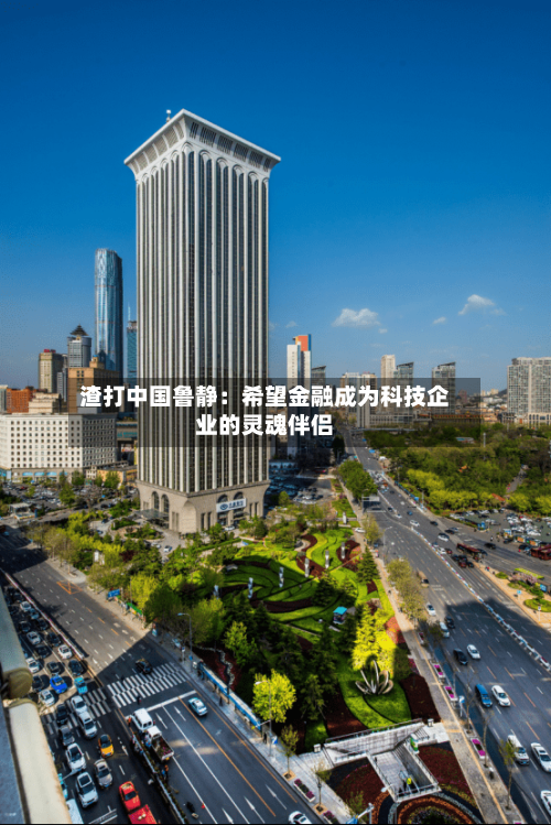 渣打中国鲁静：希望金融成为科技企业的灵魂伴侣