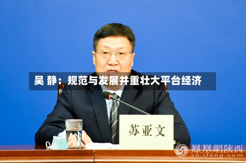 吴 静:规范与发展并重壮大平台经济-第2张图片