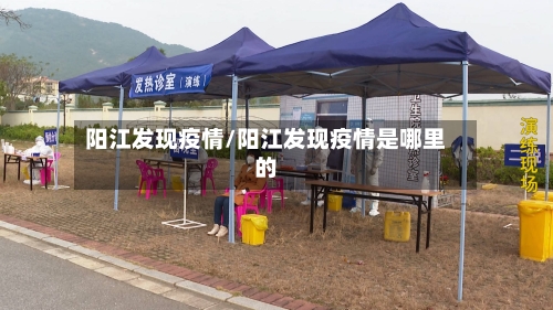 阳江发现疫情/阳江发现疫情是哪里的
