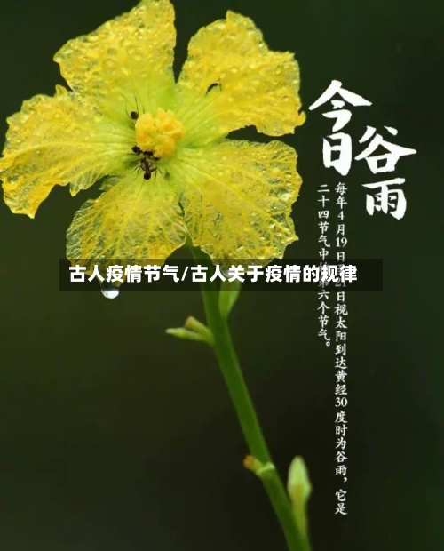 古人疫情节气/古人关于疫情的规律-第3张图片