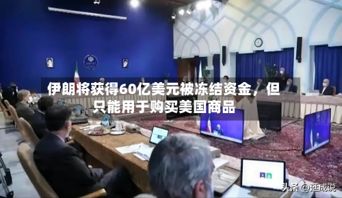 伊朗将获得60亿美元被冻结资金，但只能用于购买美国商品-第2张图片