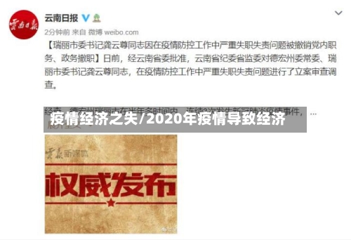 疫情经济之失/2020年疫情导致经济-第2张图片
